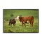 Stupell Industries Cow & Calf Preening Framed Giclee Wall Art Design by Marty Hulsebos